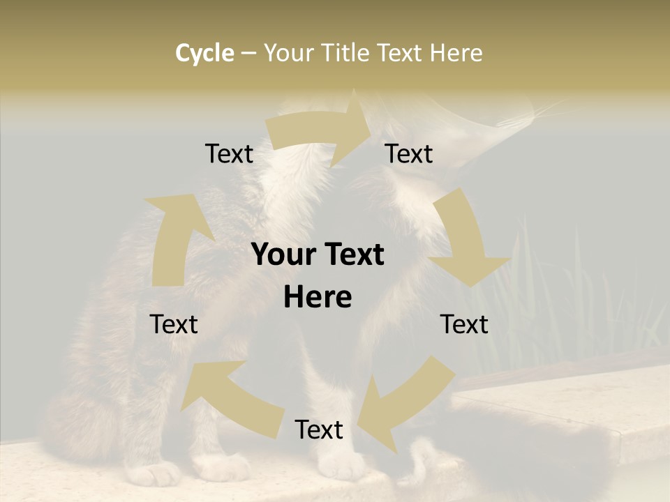 Cuddly Domestic Sick PowerPoint Template