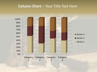 Cuddly Domestic Sick PowerPoint Template