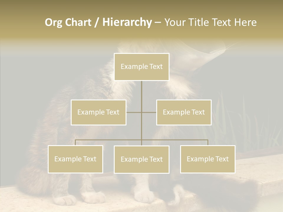Cuddly Domestic Sick PowerPoint Template