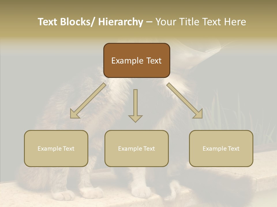 Cuddly Domestic Sick PowerPoint Template