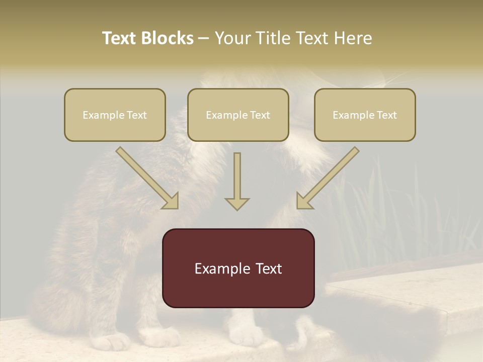 Cuddly Domestic Sick PowerPoint Template