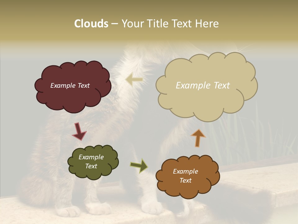 Cuddly Domestic Sick PowerPoint Template