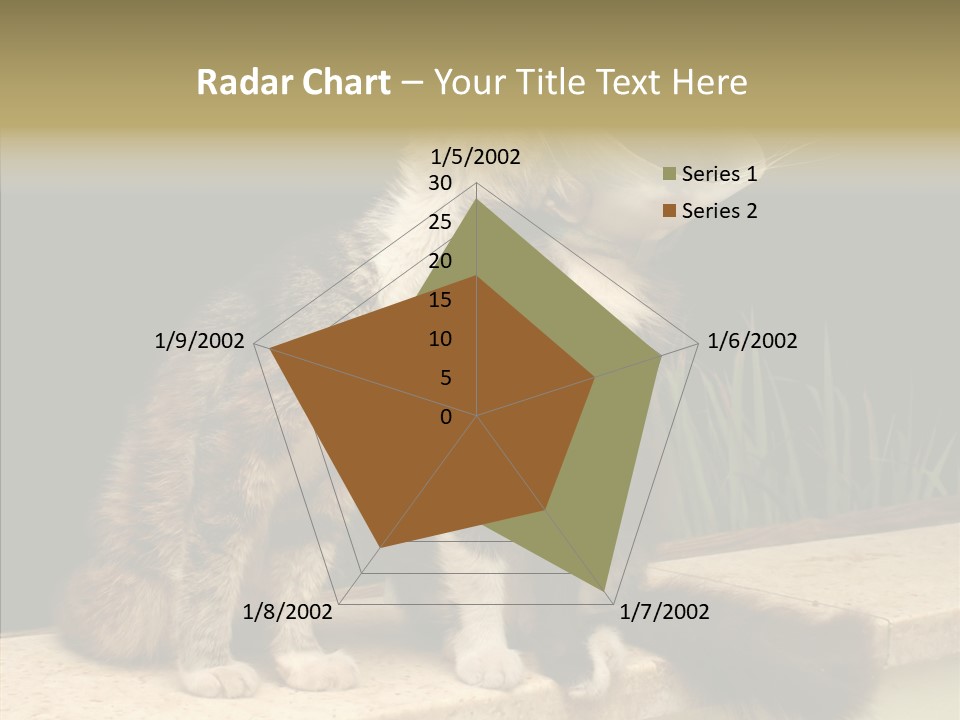 Cuddly Domestic Sick PowerPoint Template