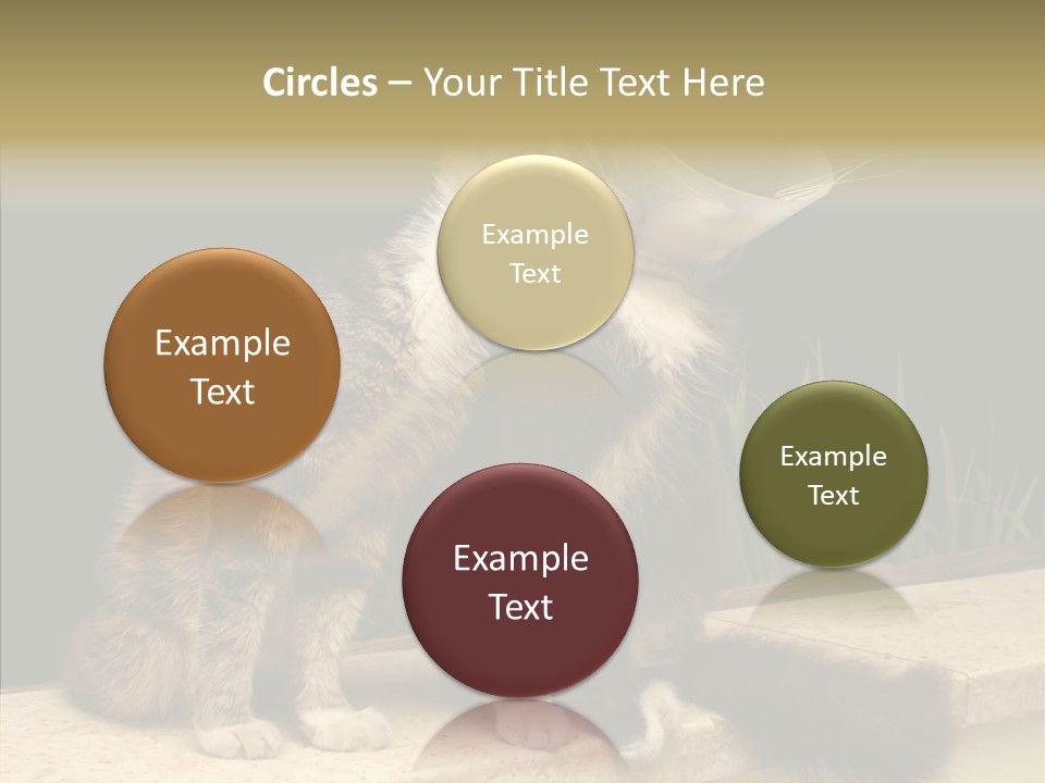 Cuddly Domestic Sick PowerPoint Template