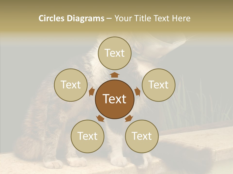 Cuddly Domestic Sick PowerPoint Template