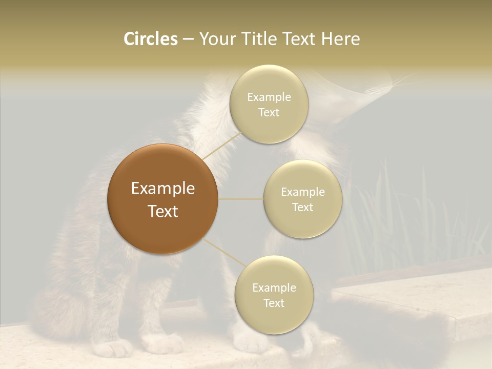 Cuddly Domestic Sick PowerPoint Template