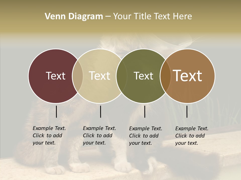 Cuddly Domestic Sick PowerPoint Template