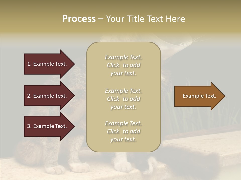 Cuddly Domestic Sick PowerPoint Template