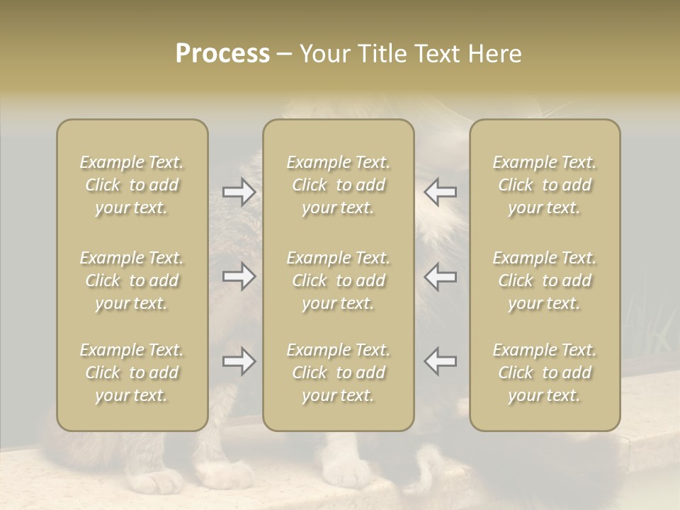 Cuddly Domestic Sick PowerPoint Template