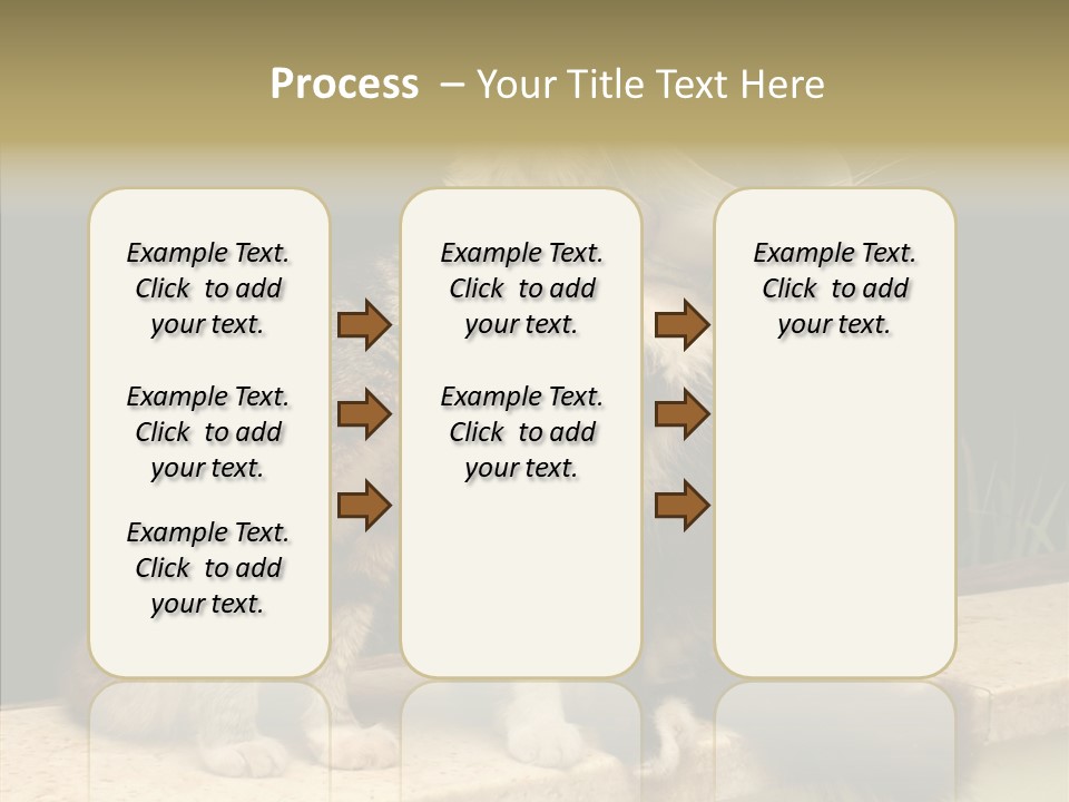 Cuddly Domestic Sick PowerPoint Template