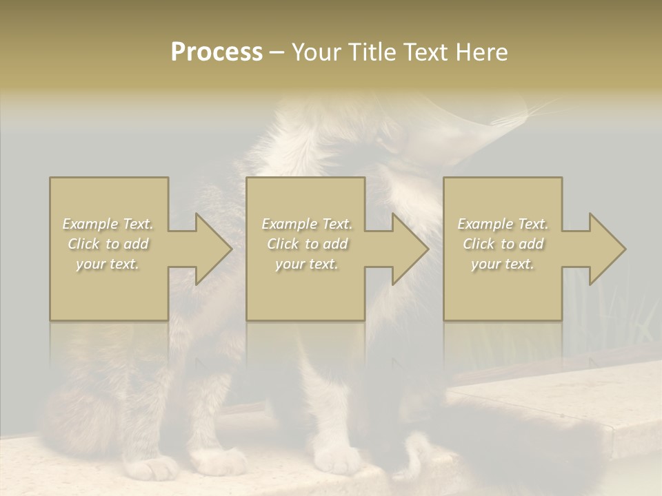 Cuddly Domestic Sick PowerPoint Template