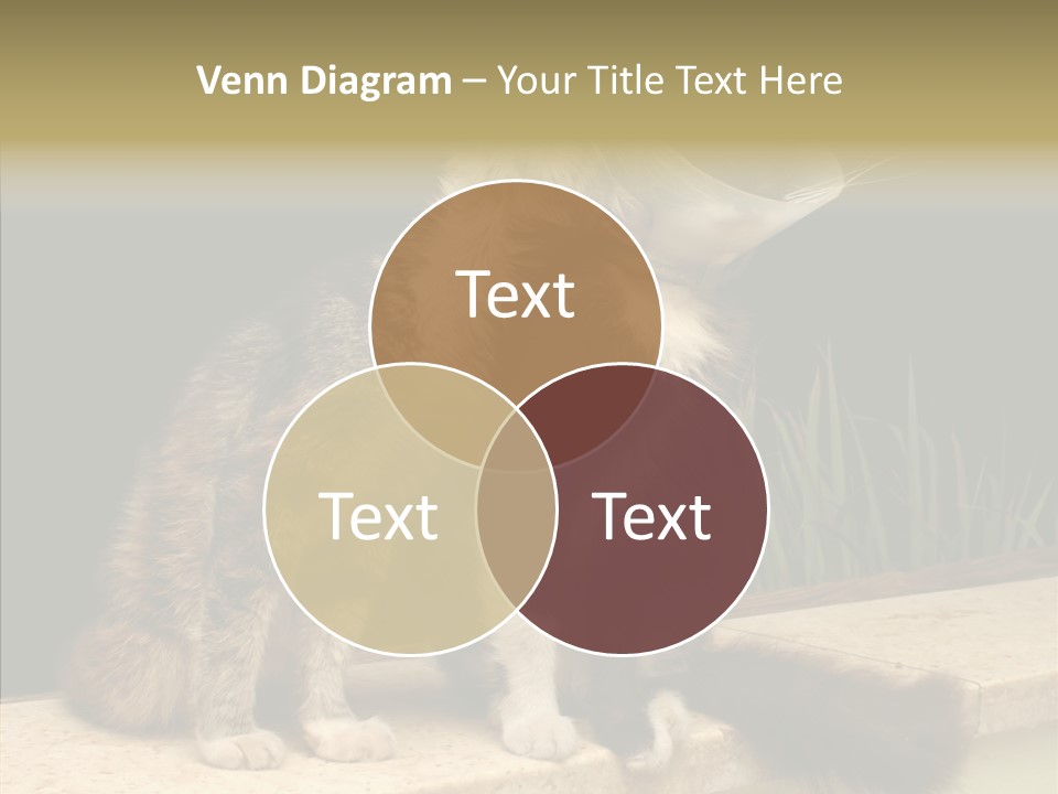 Cuddly Domestic Sick PowerPoint Template