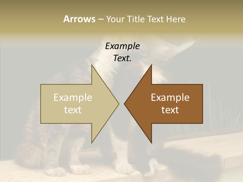 Cuddly Domestic Sick PowerPoint Template