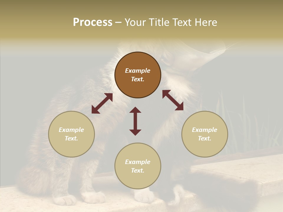 Cuddly Domestic Sick PowerPoint Template
