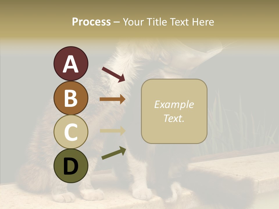 Cuddly Domestic Sick PowerPoint Template