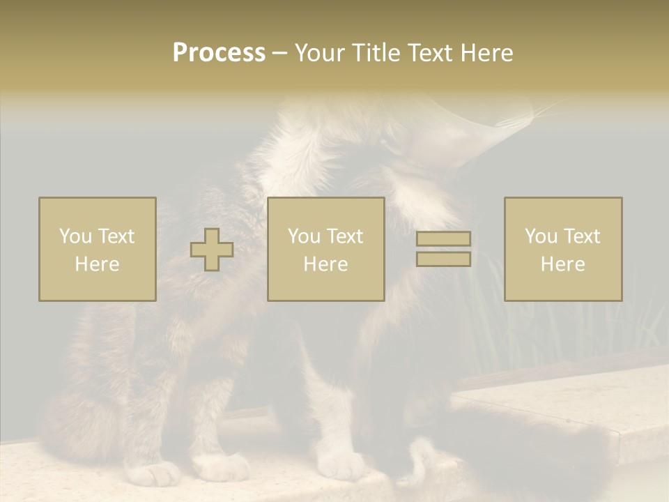 Cuddly Domestic Sick PowerPoint Template