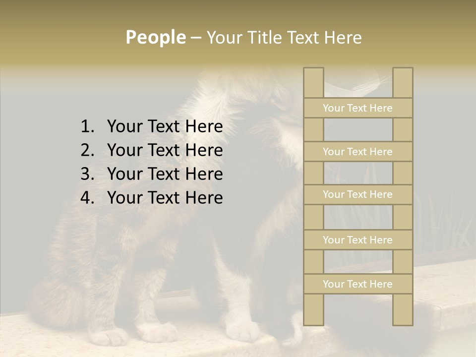 Cuddly Domestic Sick PowerPoint Template