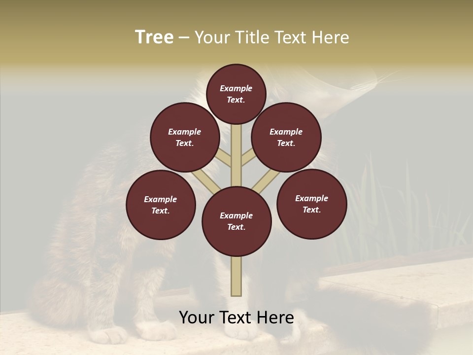 Cuddly Domestic Sick PowerPoint Template