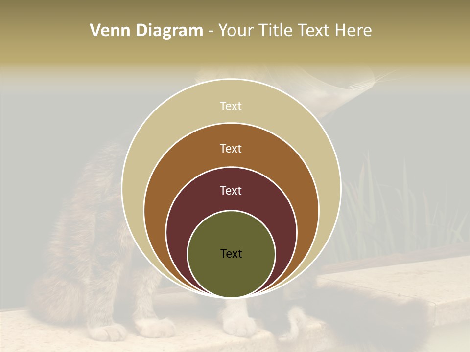 Cuddly Domestic Sick PowerPoint Template