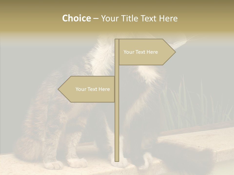 Cuddly Domestic Sick PowerPoint Template