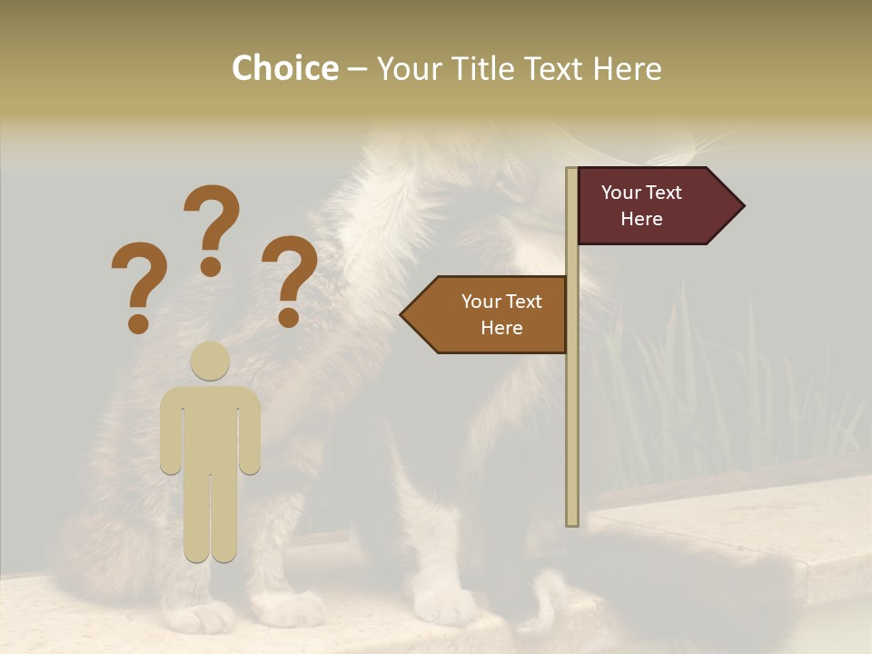 Cuddly Domestic Sick PowerPoint Template