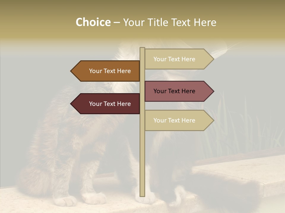 Cuddly Domestic Sick PowerPoint Template