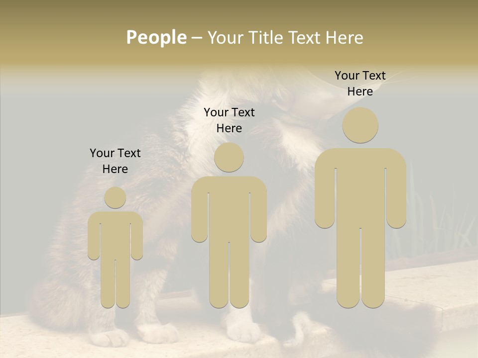 Cuddly Domestic Sick PowerPoint Template