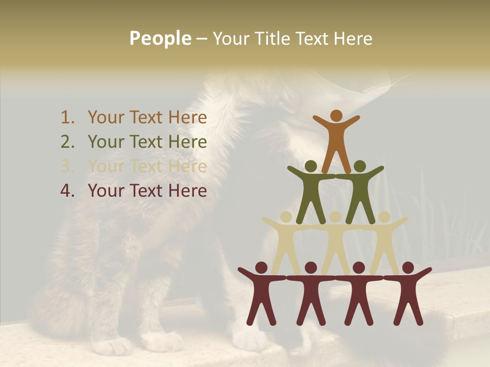 Cuddly Domestic Sick PowerPoint Template