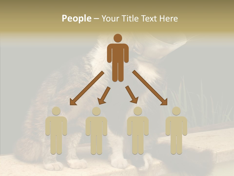 Cuddly Domestic Sick PowerPoint Template