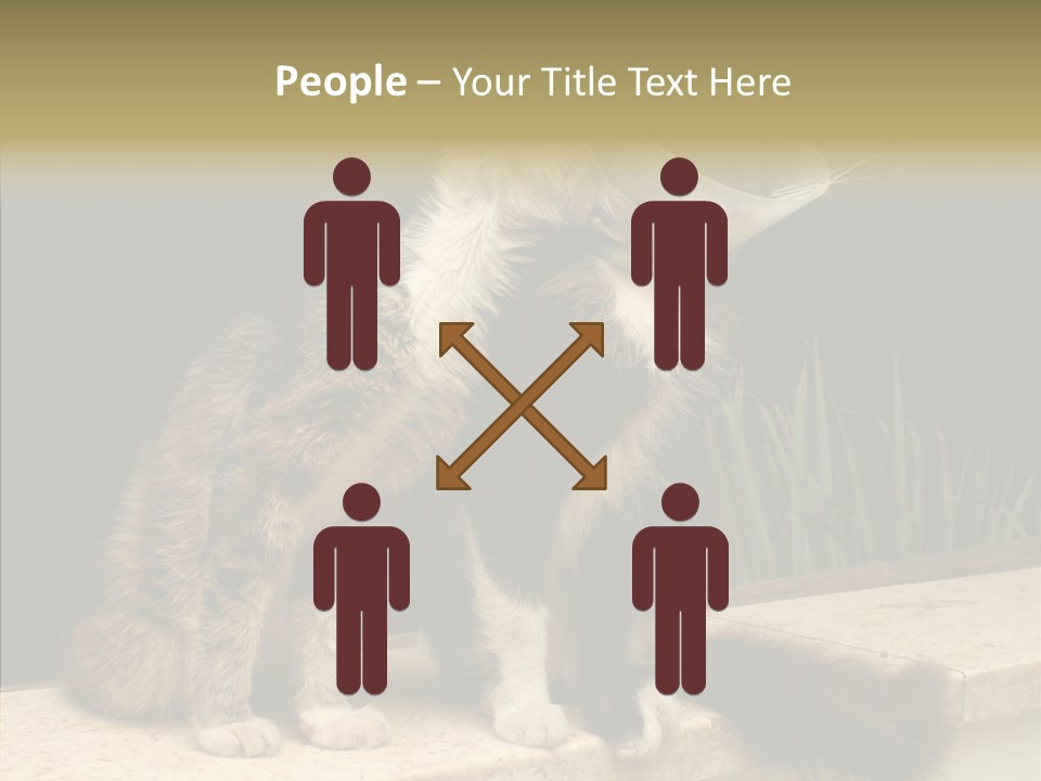 Cuddly Domestic Sick PowerPoint Template