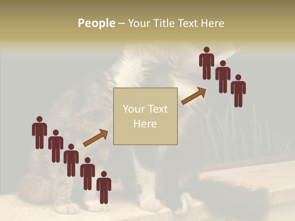 Cuddly Domestic Sick PowerPoint Template