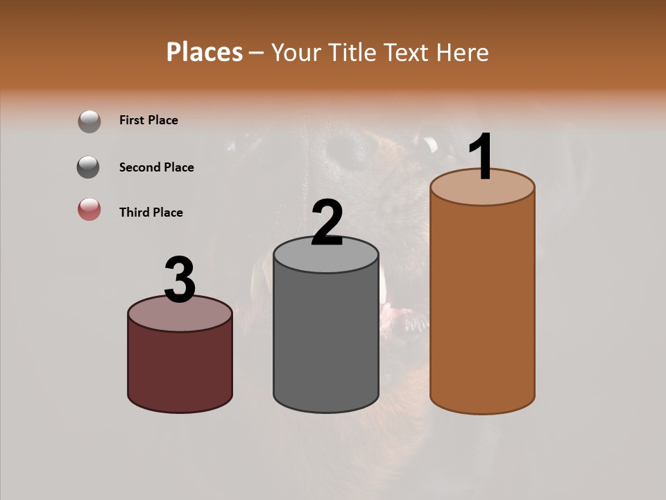 Pet Ear Aggressive PowerPoint Template