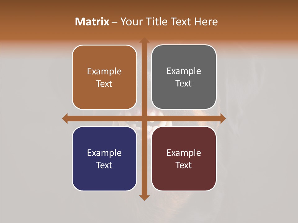 Pet Ear Aggressive PowerPoint Template