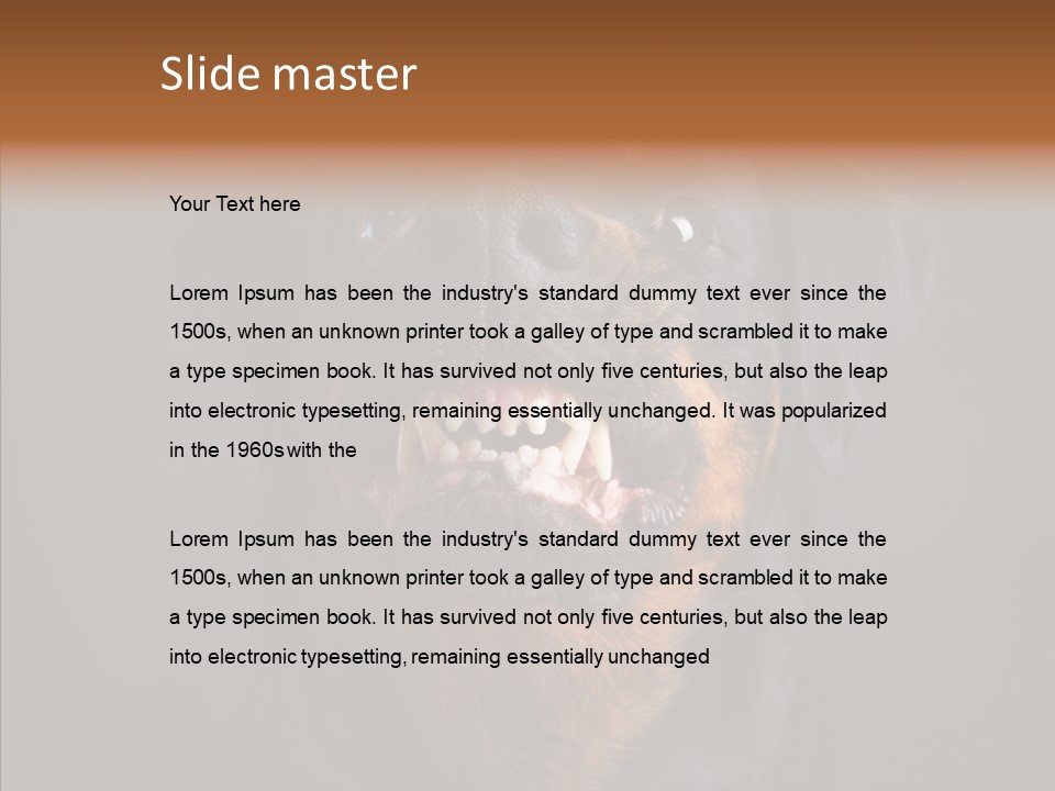 Pet Ear Aggressive PowerPoint Template