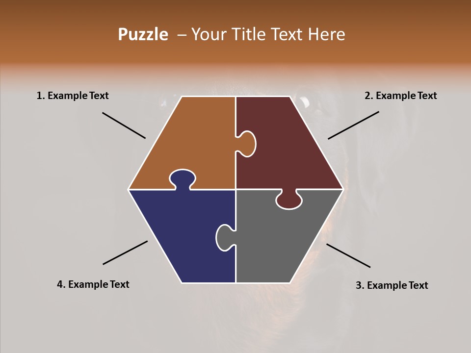 Pet Ear Aggressive PowerPoint Template