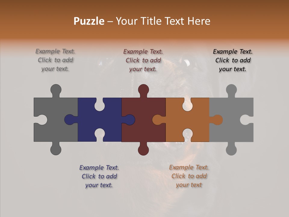 Pet Ear Aggressive PowerPoint Template