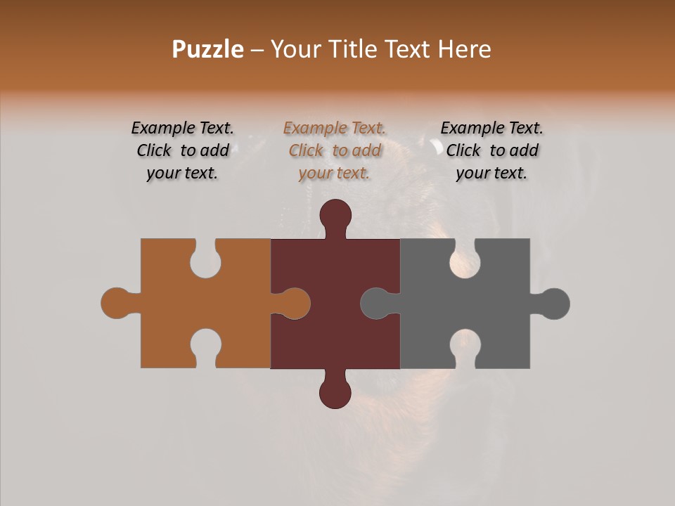 Pet Ear Aggressive PowerPoint Template