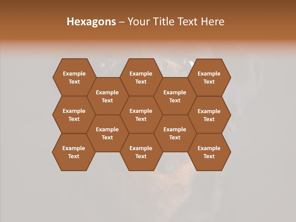 Pet Ear Aggressive PowerPoint Template