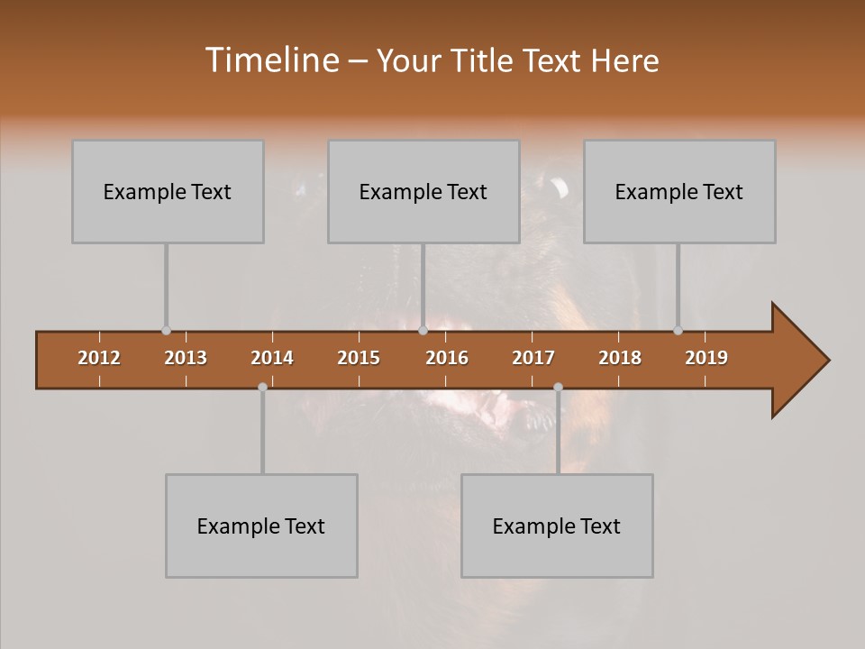 Pet Ear Aggressive PowerPoint Template