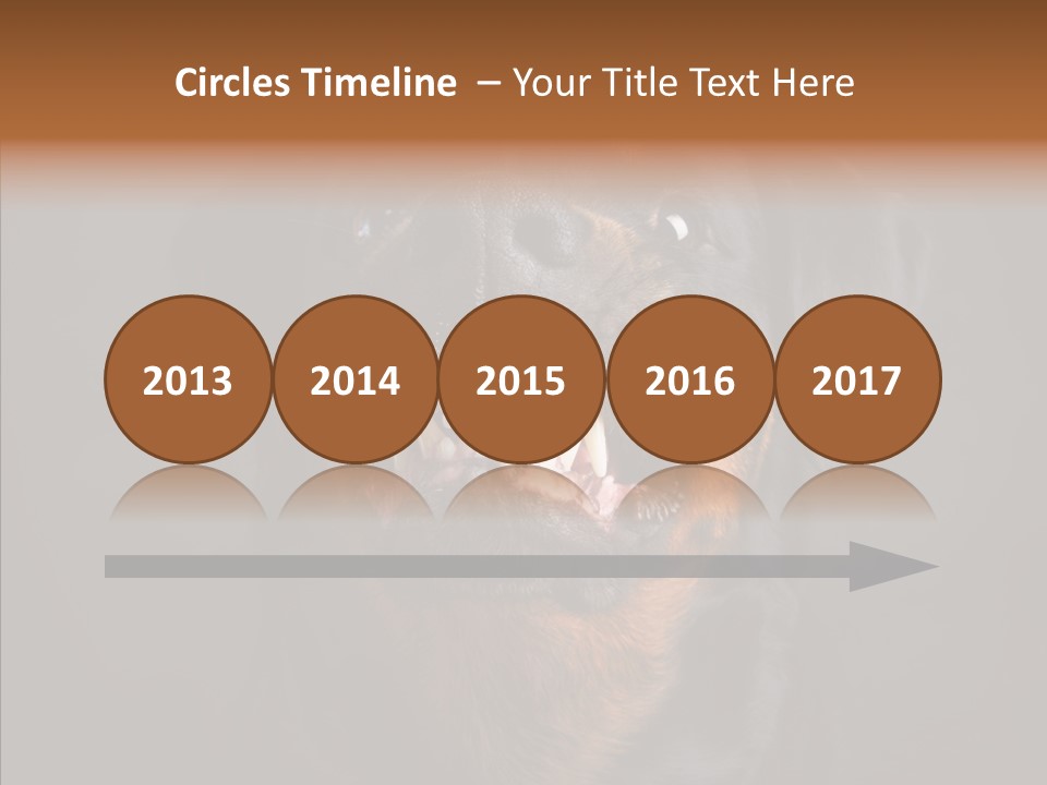 Pet Ear Aggressive PowerPoint Template