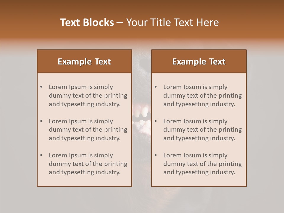 Pet Ear Aggressive PowerPoint Template