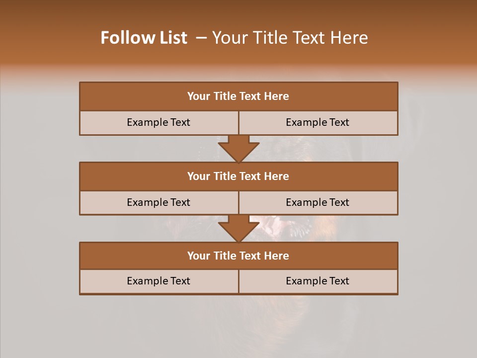 Pet Ear Aggressive PowerPoint Template