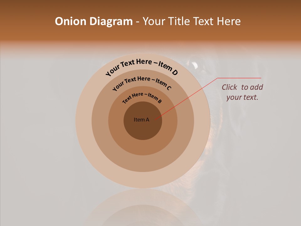 Pet Ear Aggressive PowerPoint Template