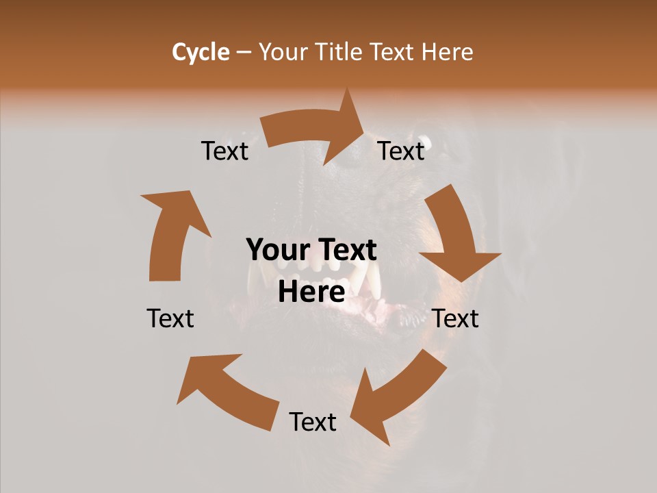 Pet Ear Aggressive PowerPoint Template