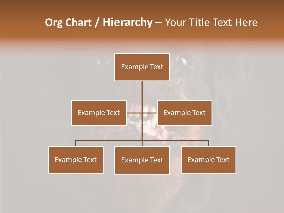 Pet Ear Aggressive PowerPoint Template