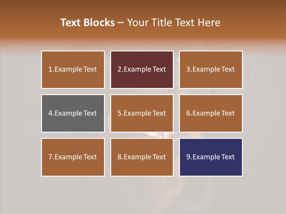 Pet Ear Aggressive PowerPoint Template