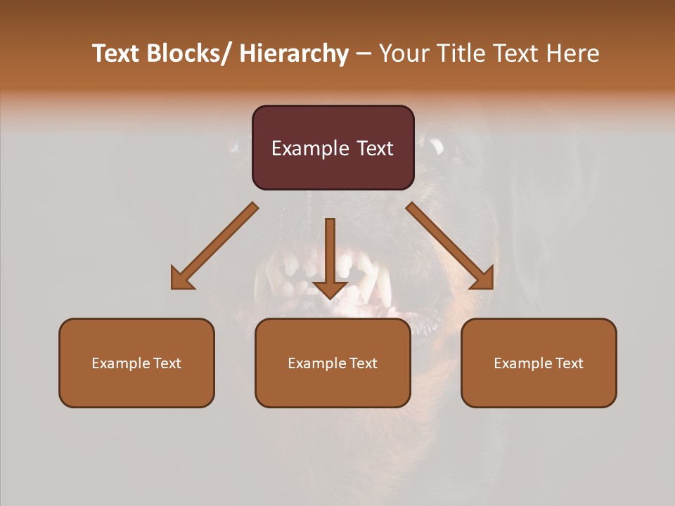 Pet Ear Aggressive PowerPoint Template