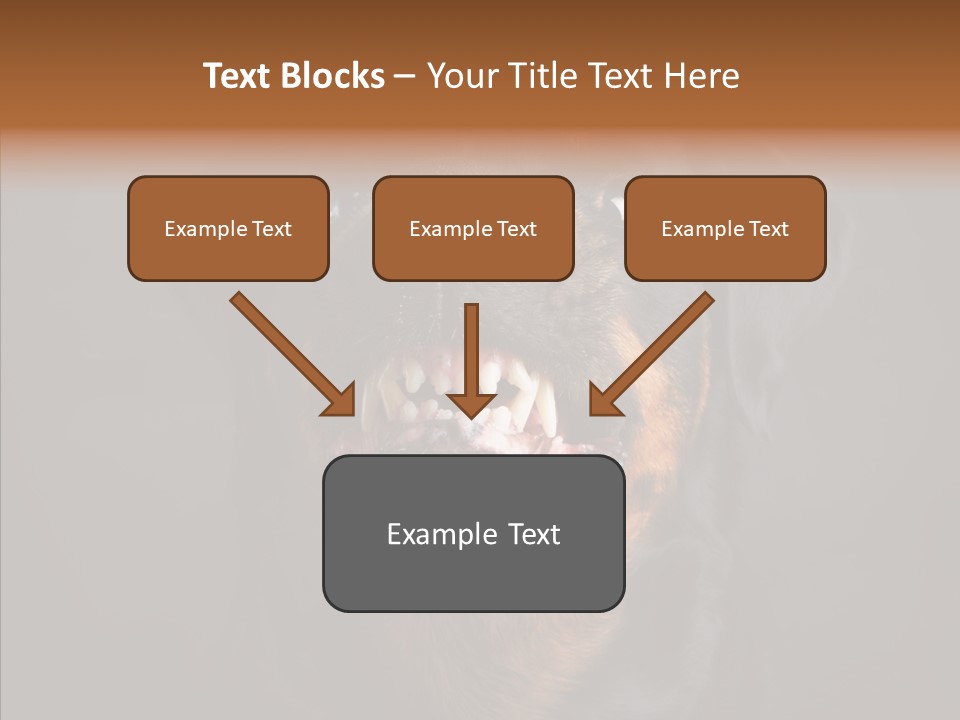 Pet Ear Aggressive PowerPoint Template