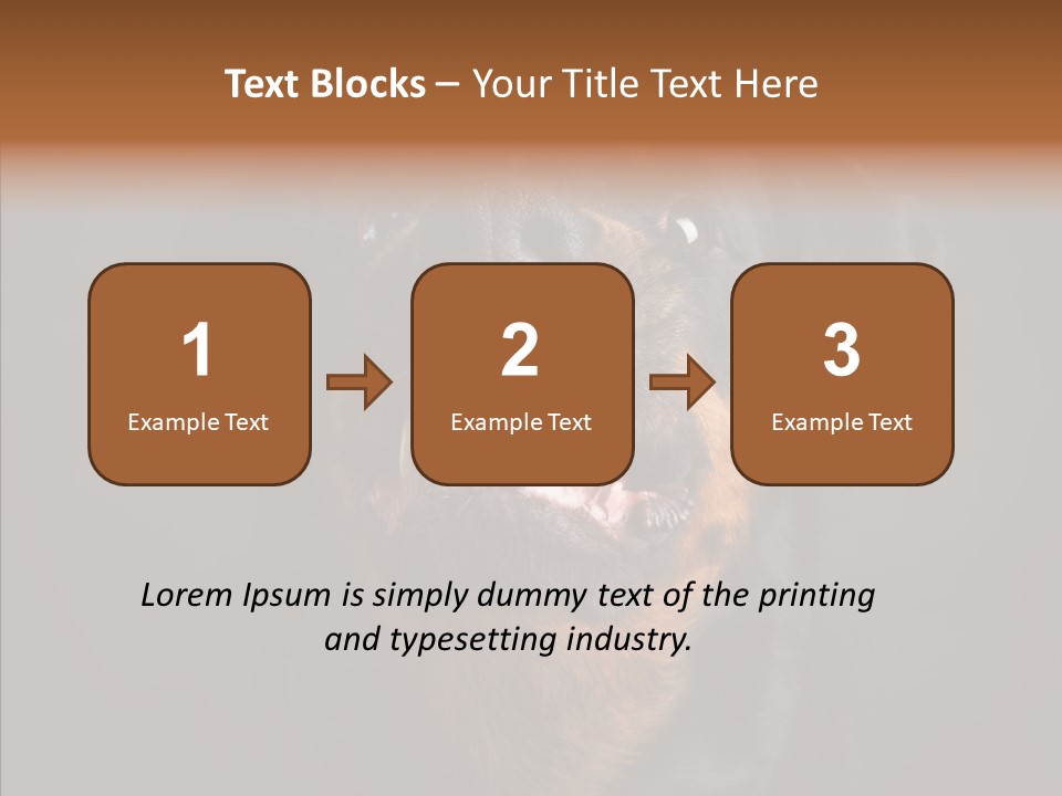 Pet Ear Aggressive PowerPoint Template