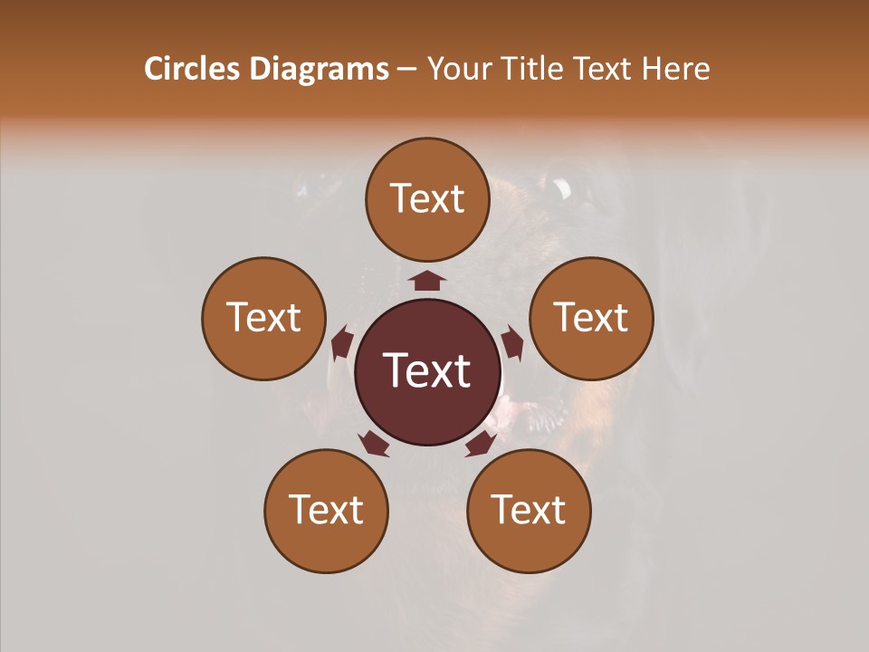 Pet Ear Aggressive PowerPoint Template